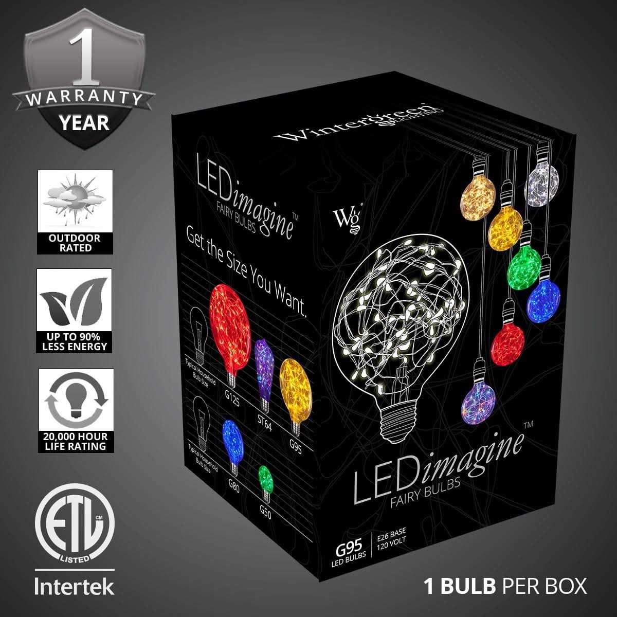Wintergreen Lighting G95 120V LEDimagine TM Fairy Light Bulb