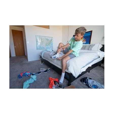 Zero Trace Pure ION Odor Neutralizer Pet and Home Edition