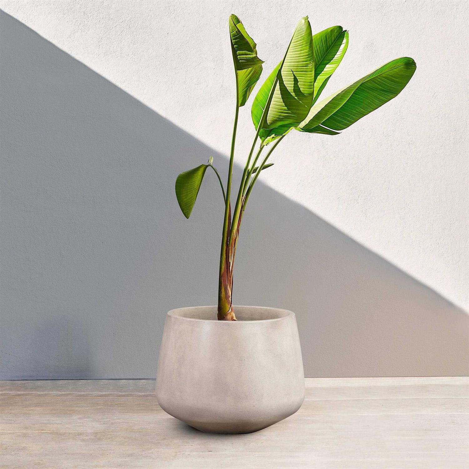 Amethyst Round Lightweight Concrete Indoor or Outdoor Planter Armen Living