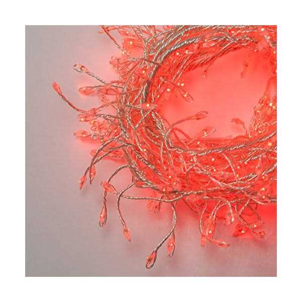 Wintergreen Lighting LED Cluster String Lights