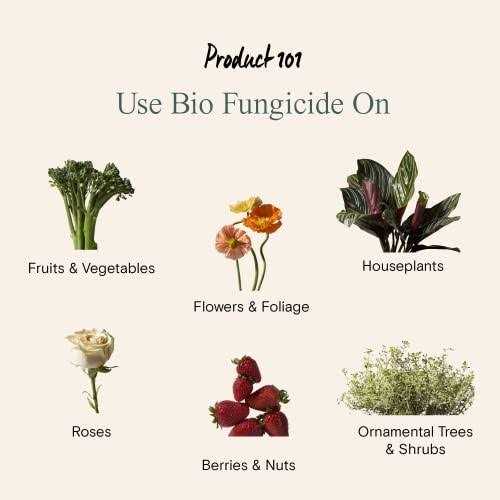 Arber Organic Bio Fungicide