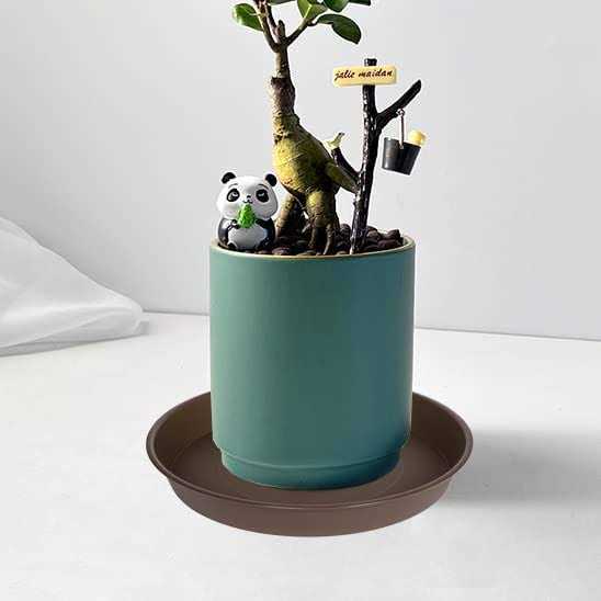 Bleuhome 3 Pack Plant Saucer Depth Tray