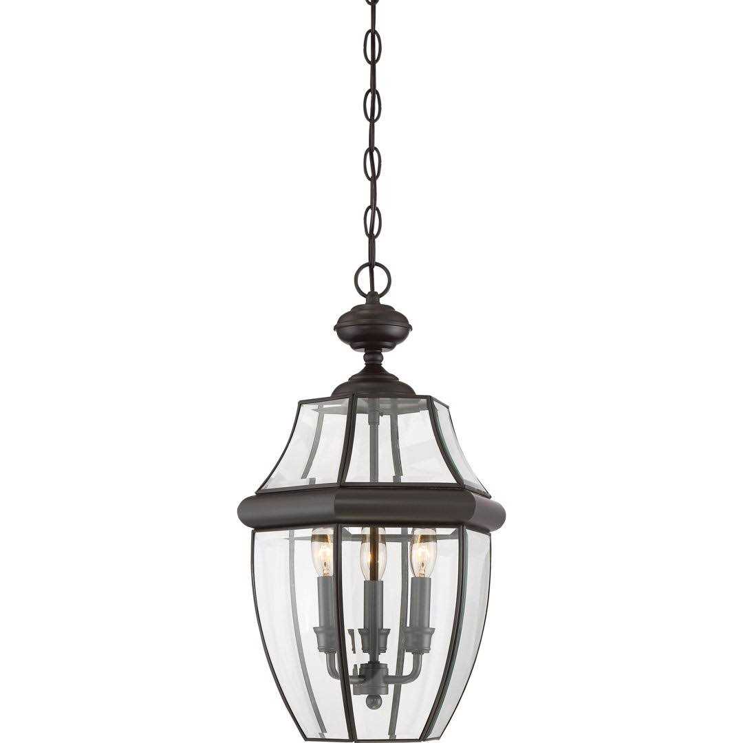 Washington Mews 3 -Bulb 21 H Outdoor Hanging Lantern Charlton Home Fixture Finish