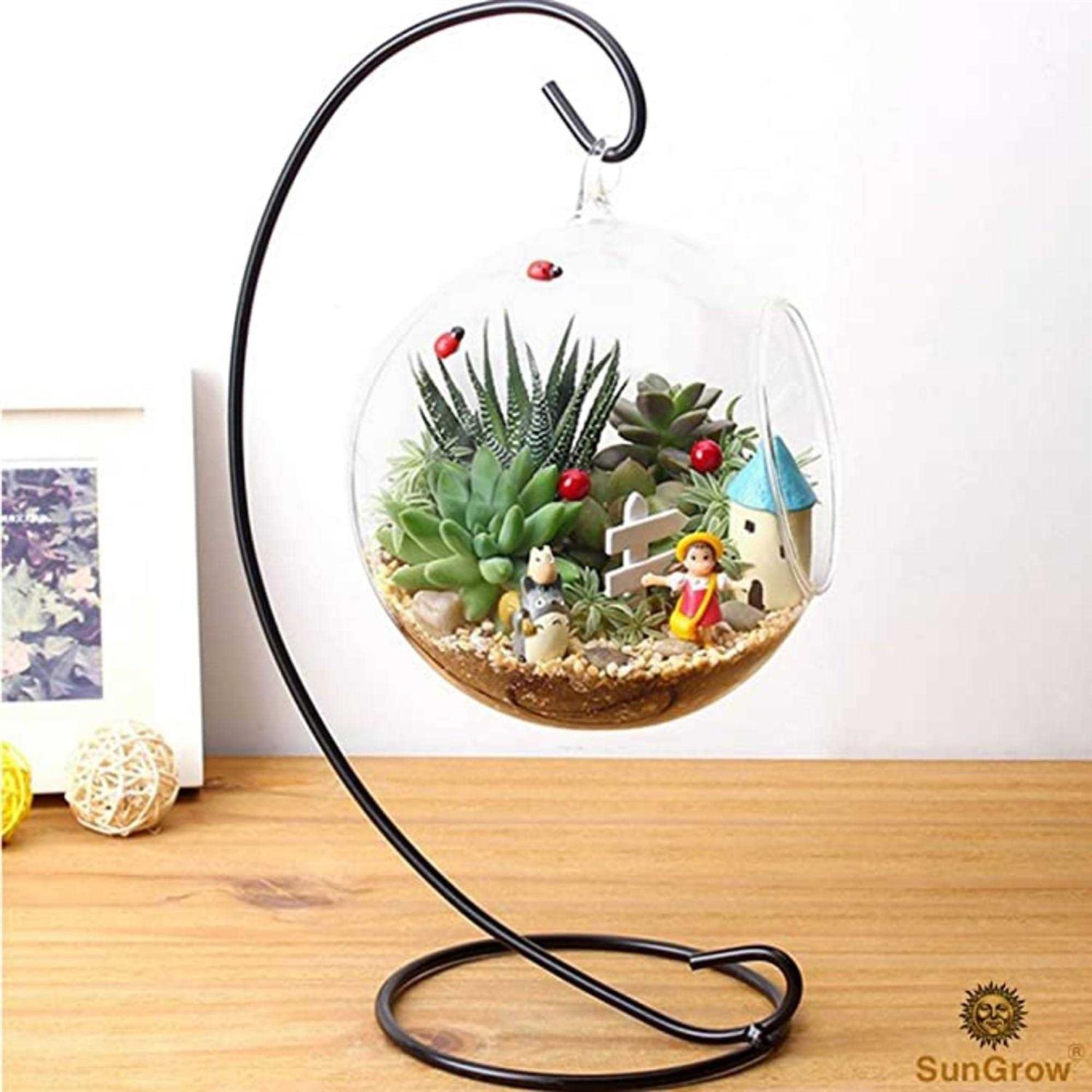 SunGrow 3 Hanging Glass Terrariums by Spherical Air Plant Orb