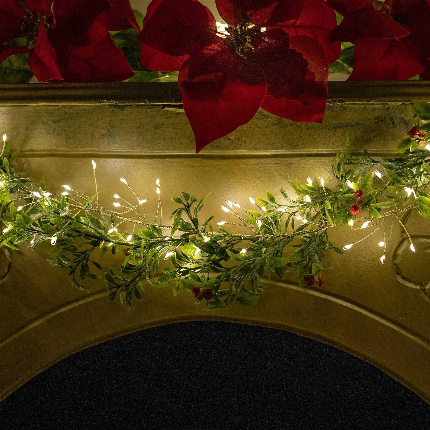 Wintergreen Lighting LED Cluster String Lights