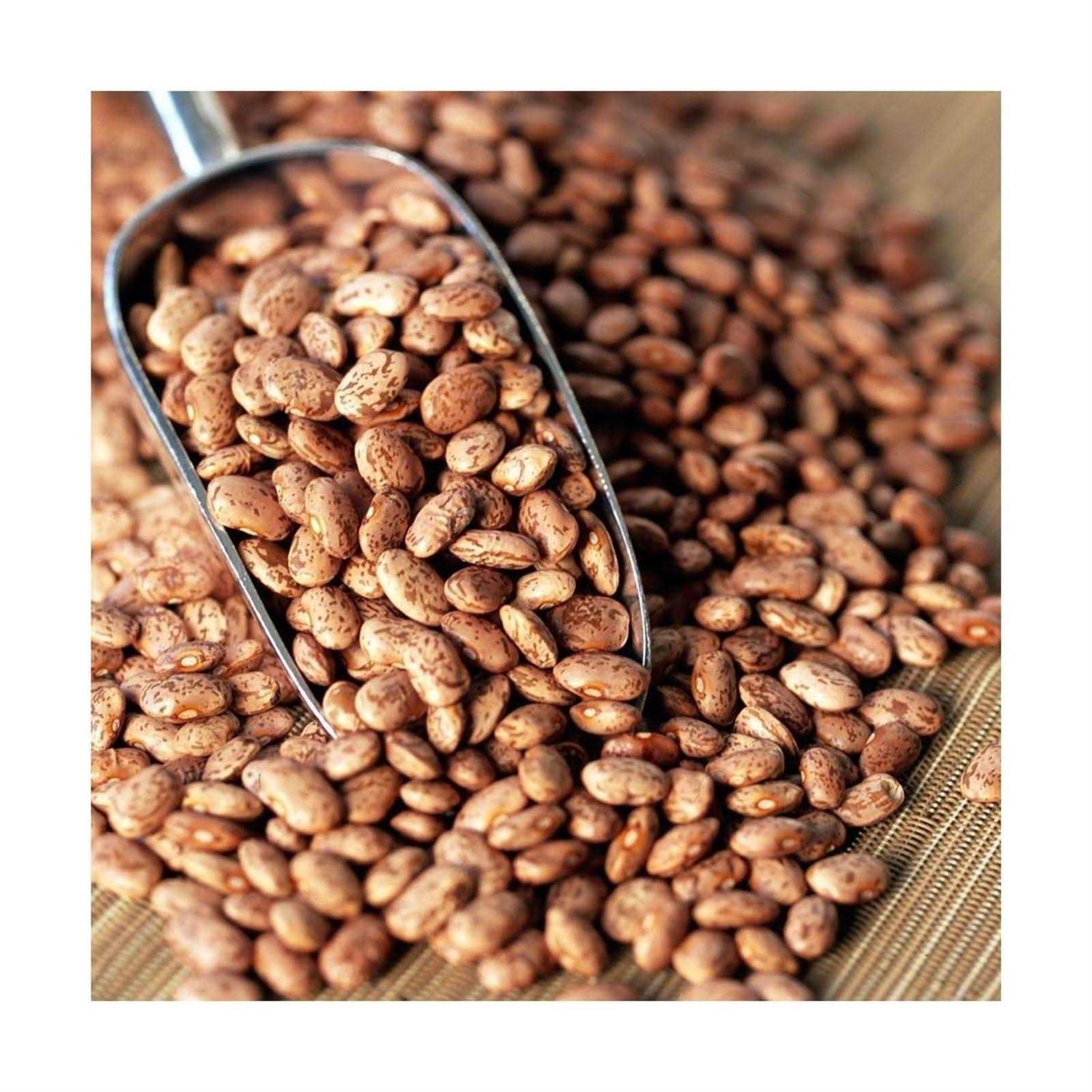 72 Serving Mega Protein Kit with Real Meat