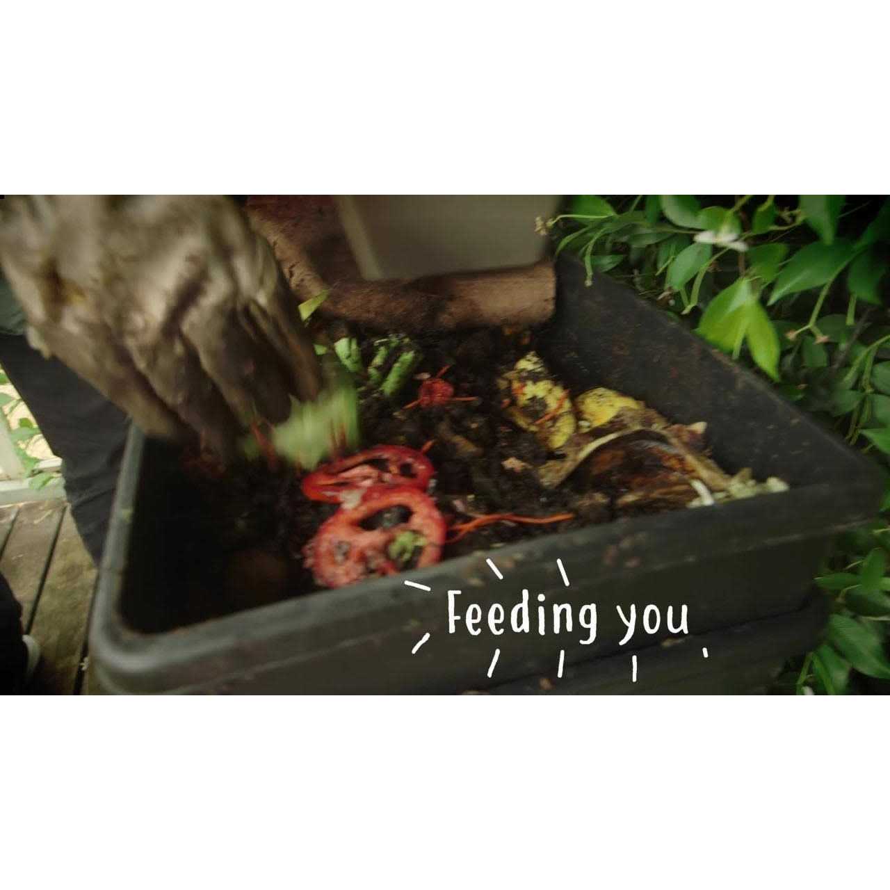 Compost Aerator Tumbleweed