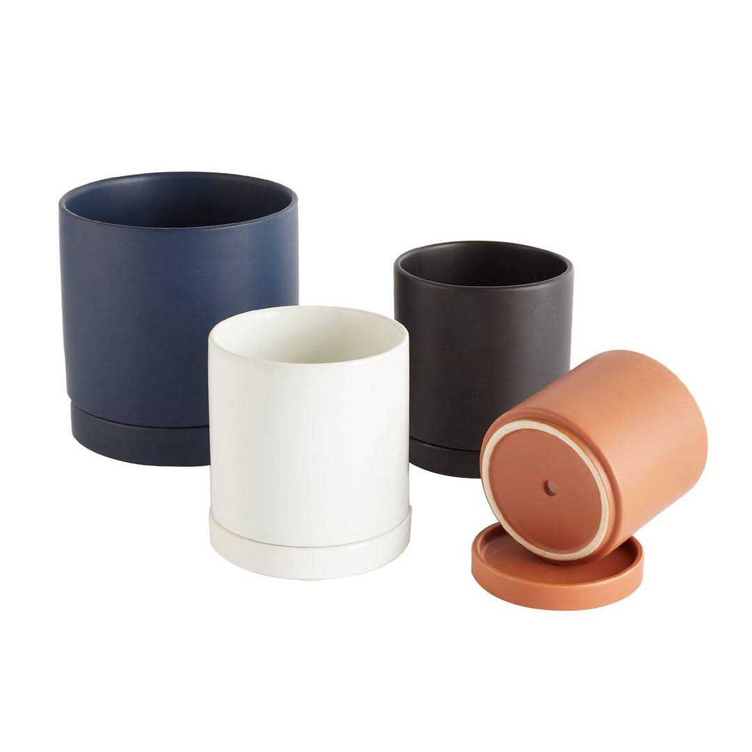 AllModern Carlotta Ceramic Pot Planter