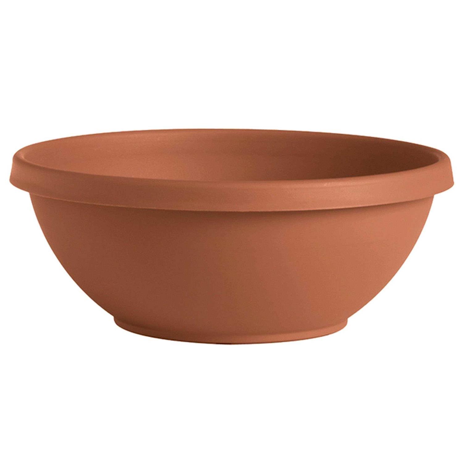 Bloem Terra Bowl Planter