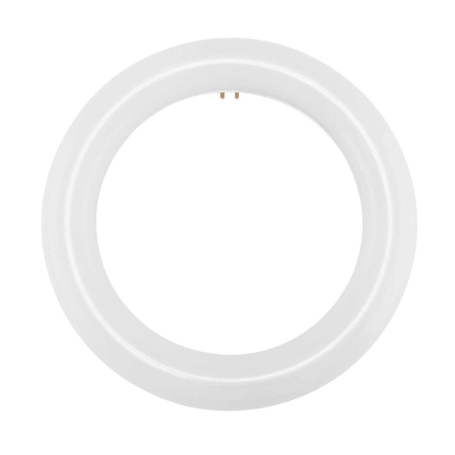 Sylvania 23538 Daylight Deluxe Circline Bulb