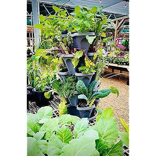 5-Tier Stackable Strawberry Garden – 24 Quart Indoor/Outdoor Stacking Planter with Drip Saucer – Grow Herbs, Strawberries, and Flowers from The
