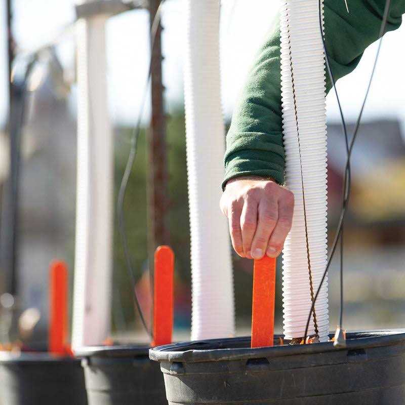 Bulk Hardwood Field and Plant Labels