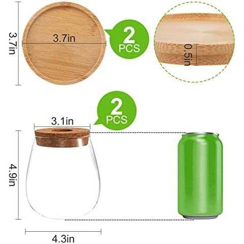 Biggun 2 Pcs Separated Desktop Plant Terrarium Plant Propagation Planter Water Station Planting glass Vase with Lid & Wooden Stand fo