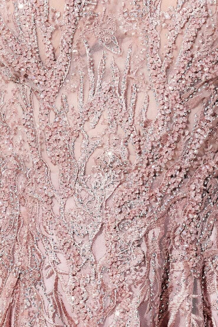 120D10 Embroidered Lace Pleated A-Line Gown