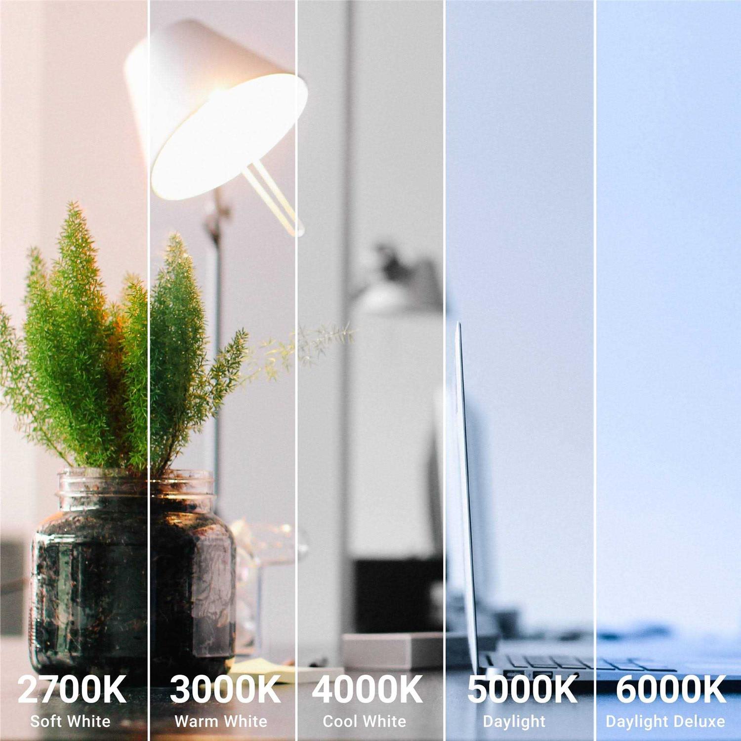 Sunco Lighting A15 LED Bulb