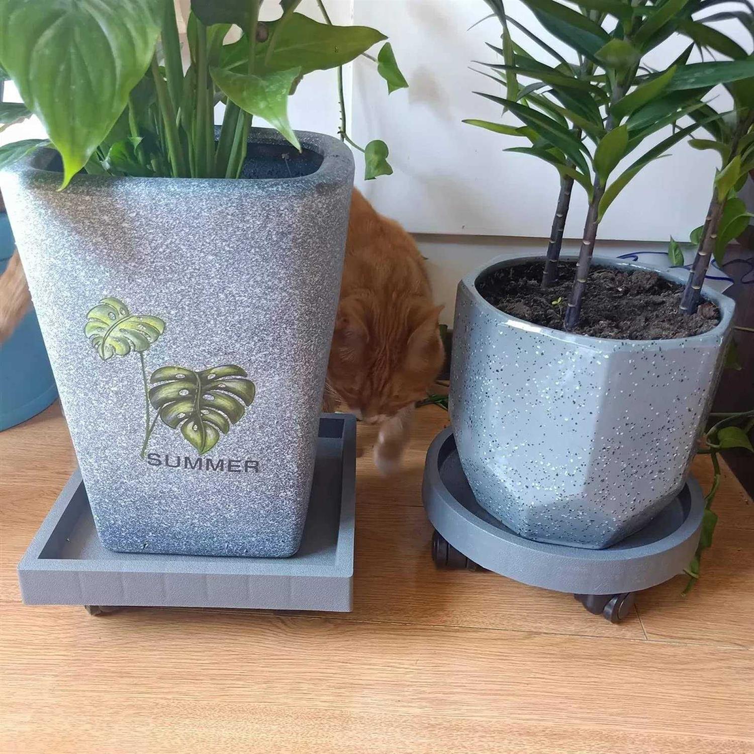 WanderingDonkey Square Heavy Duty Plant Caddy with Wheels,Rolling Stand Pot Trolley,Wheeled Planter Saucer Tray,Potted Flower Mover Dolly