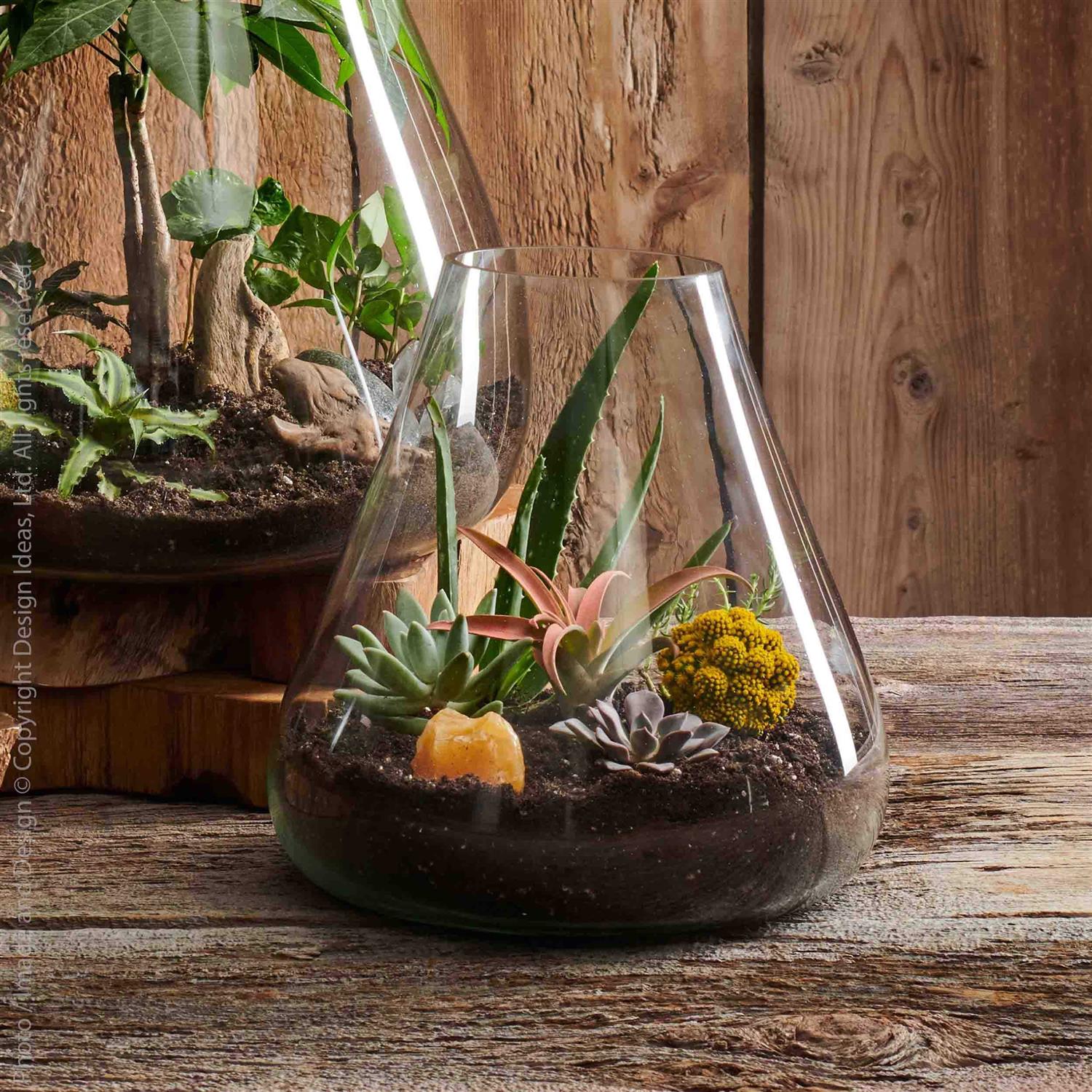 texxture Boboli Glass Terrarium