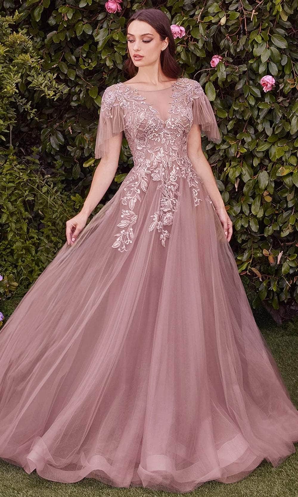 Flutter Sleeve Tulle Evening Gown