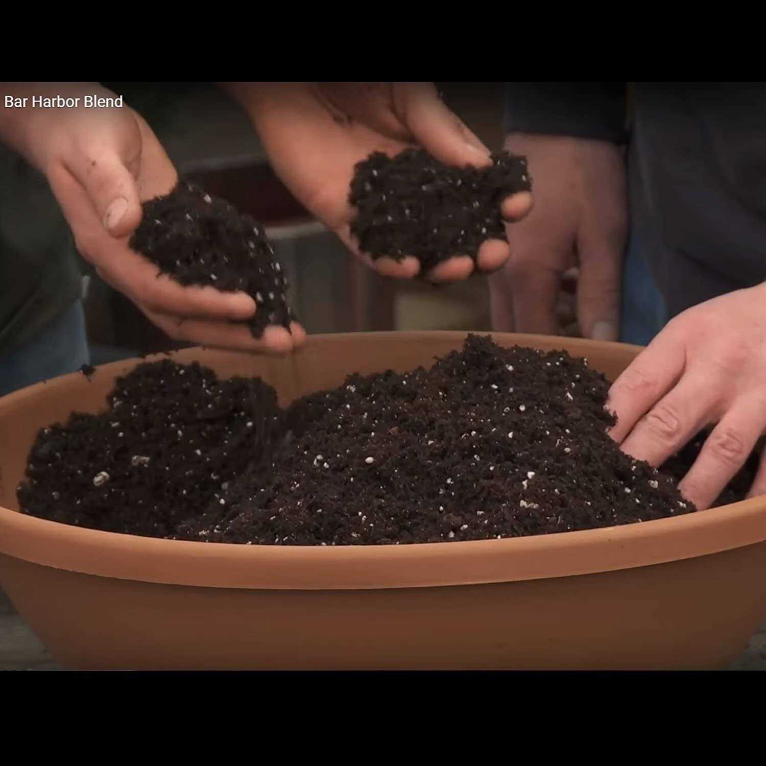 Coast of Maine Bar Harbor Blend Potting Soil