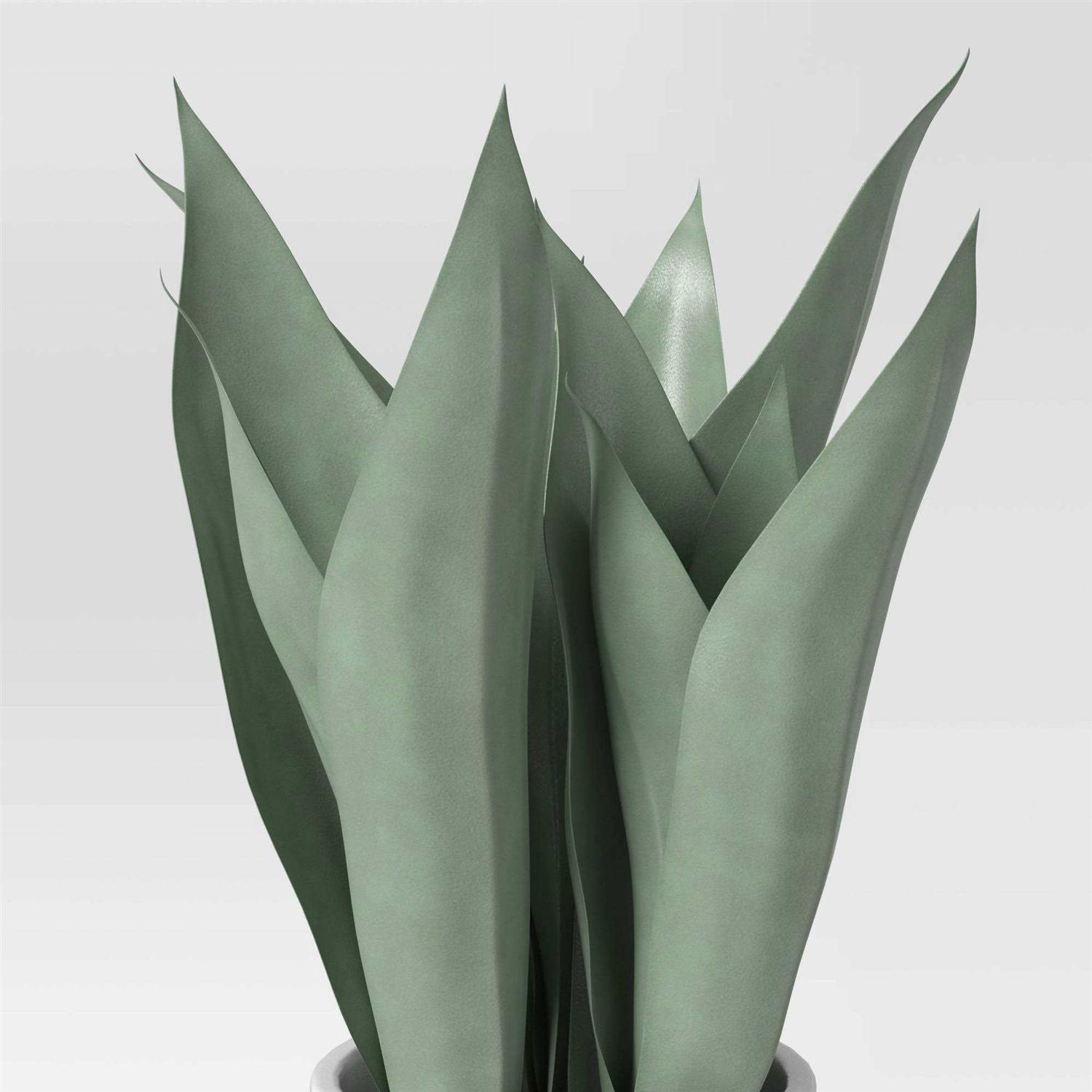 Threshold Small Snake Plant in Plant Stand