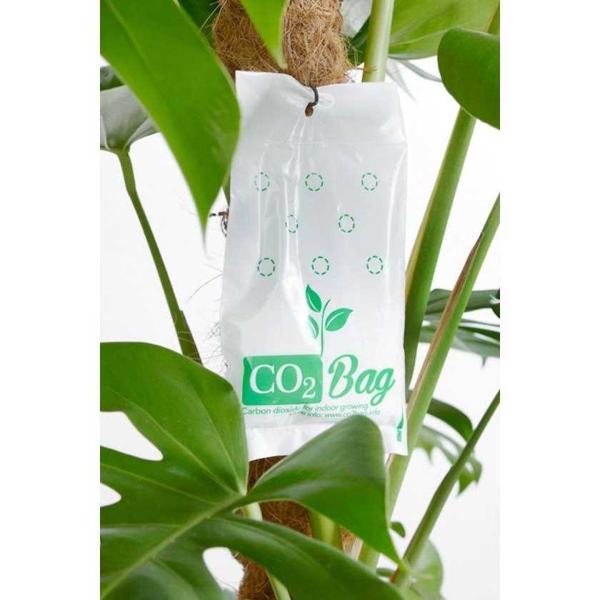 CO2 BAG -CO2 for indoor growing. Small, effective and affordable