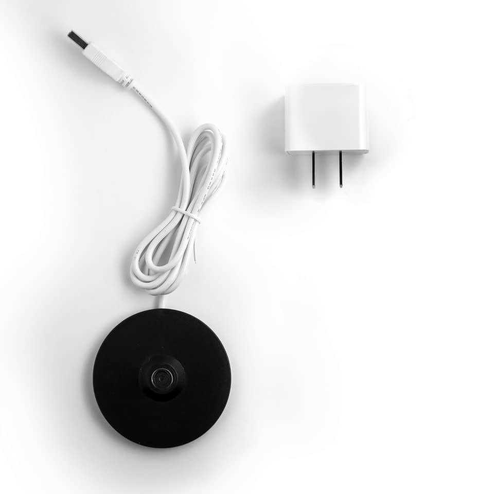 Zafferano America Pina Pro Table Lamp