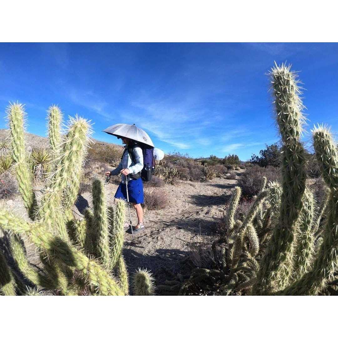 Six Moon Designs Silver Shadow Umbrella