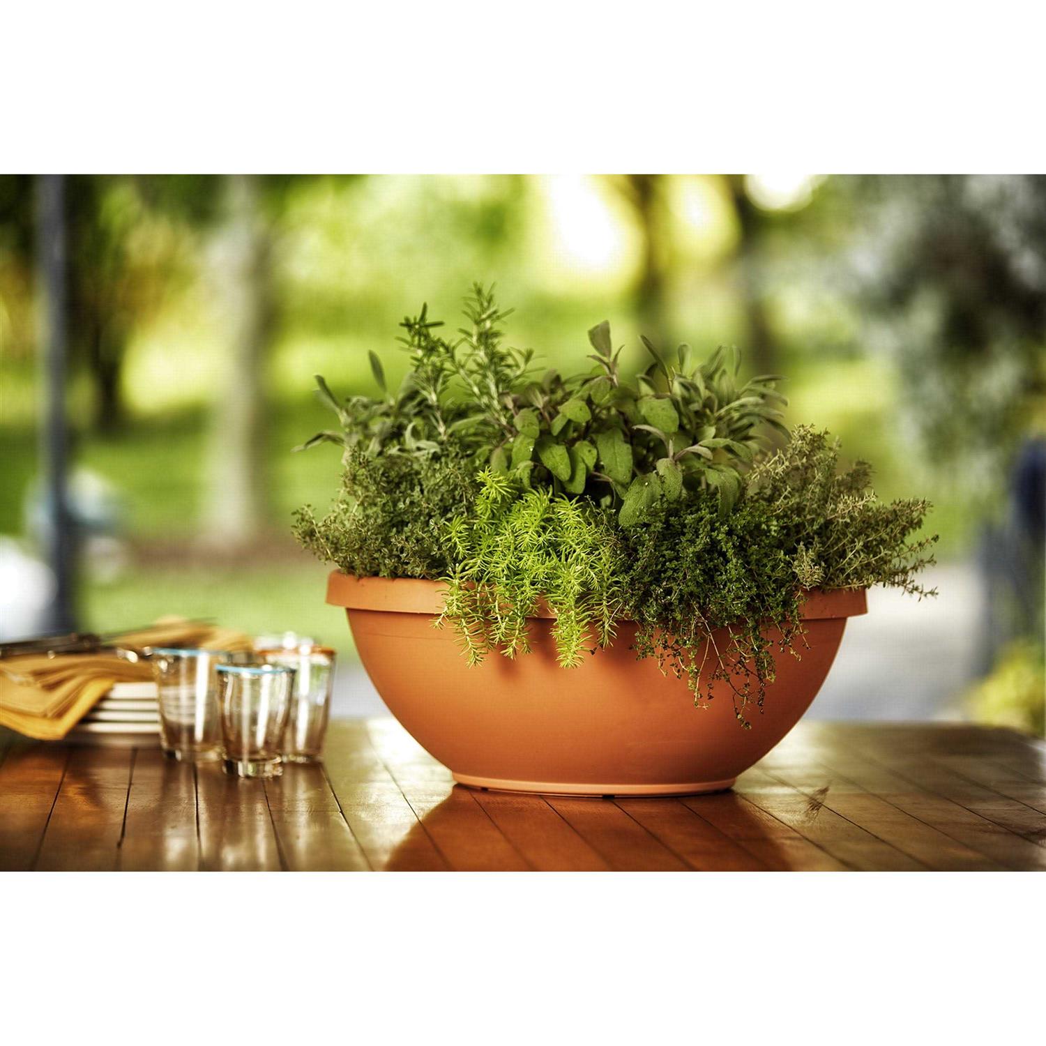 Bloem Terra Bowl Planter