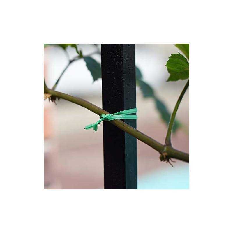 Twist Ties – All-Purpose Coated 328Feet Garden Plant Ties with Trimmer Garden Twine Support Ties Reusable for Gardening Plants Growth and Care, Office