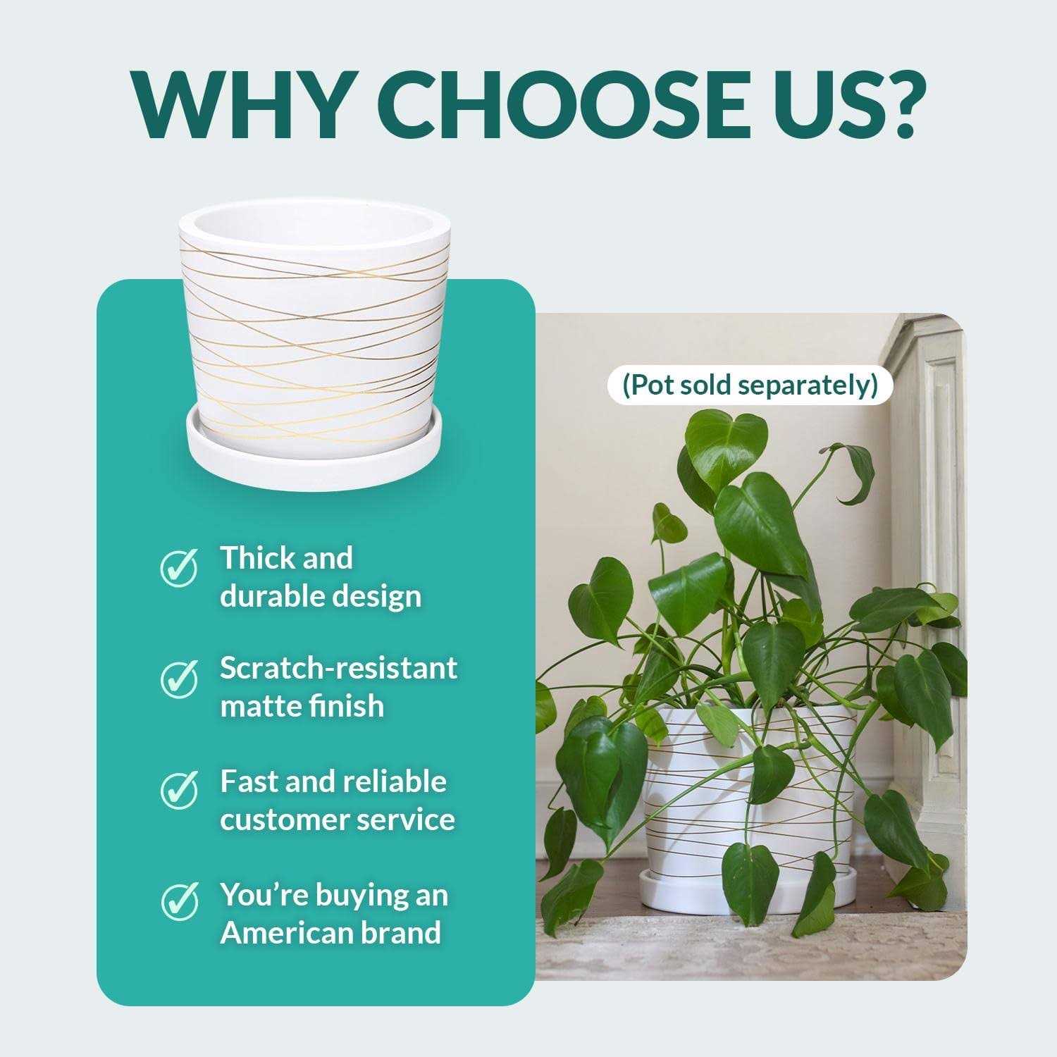 Willowy Matte White ceramic Pot Saucer Drainage Tray