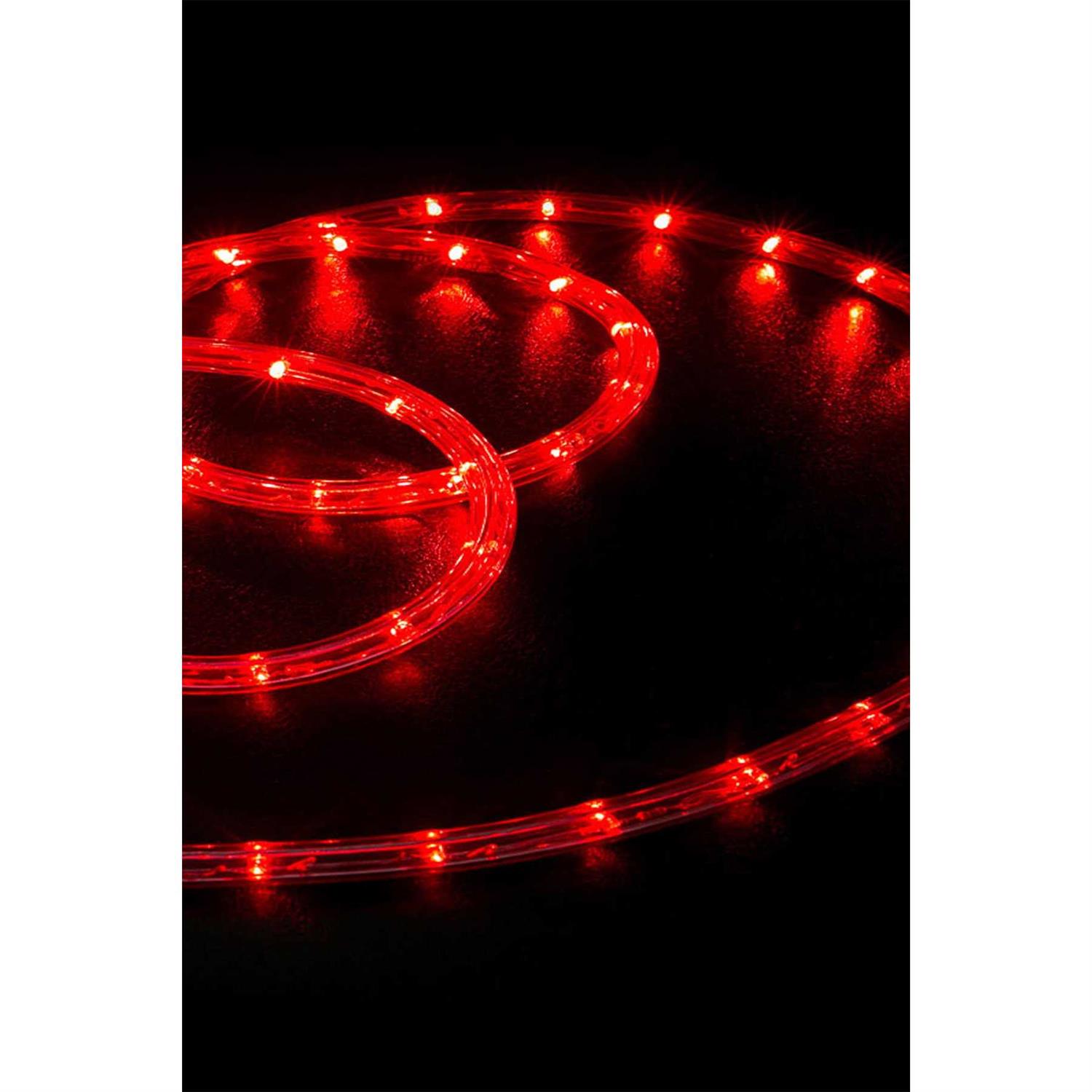 Wyzworks LED Rope Lights