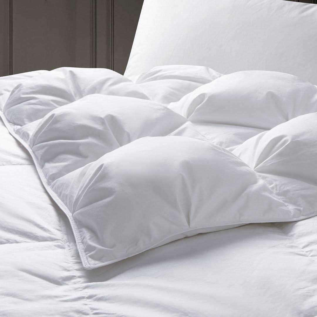 Alwyn Home 800 Fill Power Winter Goose Down Comforter