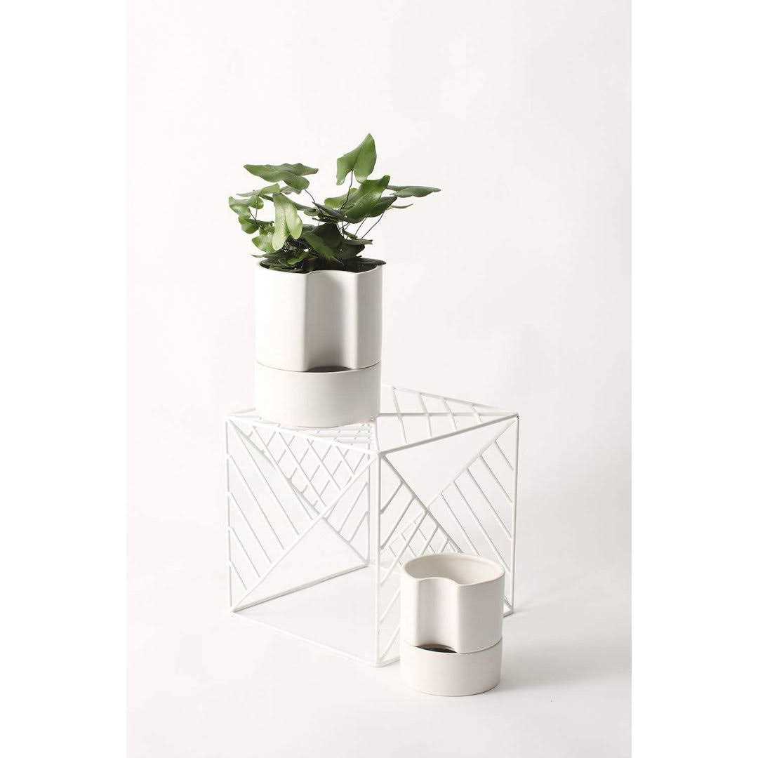 AllModern Patti Self-Watering Ceramic Pot Planter