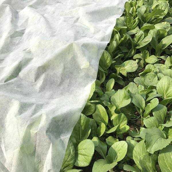 Agfabric Floating Row Cover Plant Blanket Frost Protection
