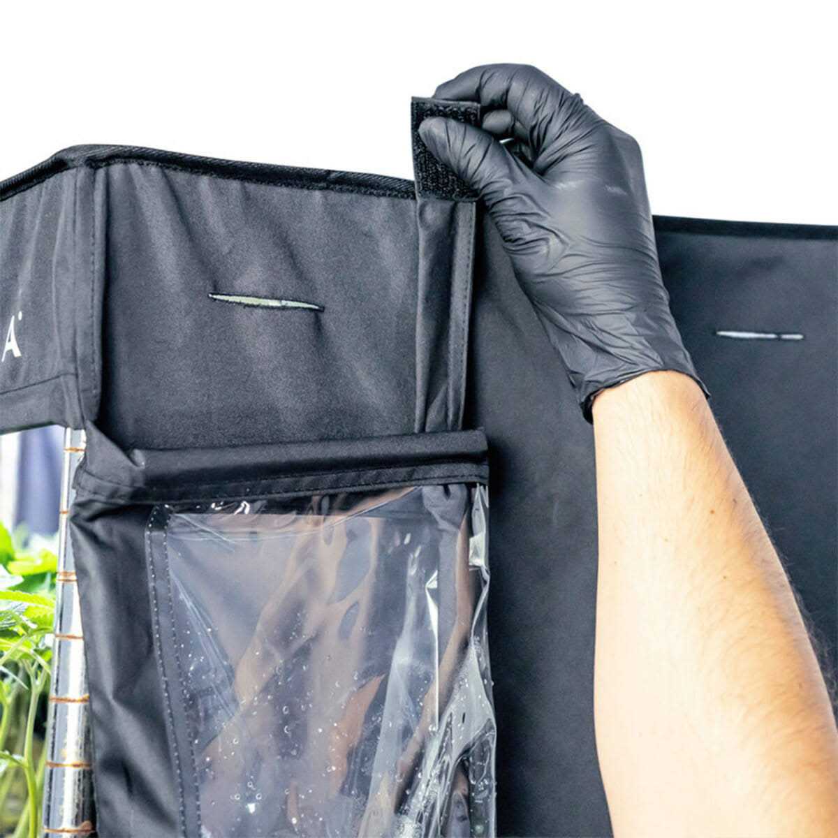 Athena Culture VPDome