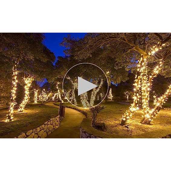 Wintergreen Lighting 70 Light String LED Lights