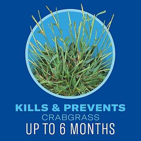 BioAdvanced Weed&Feed 5 in 1