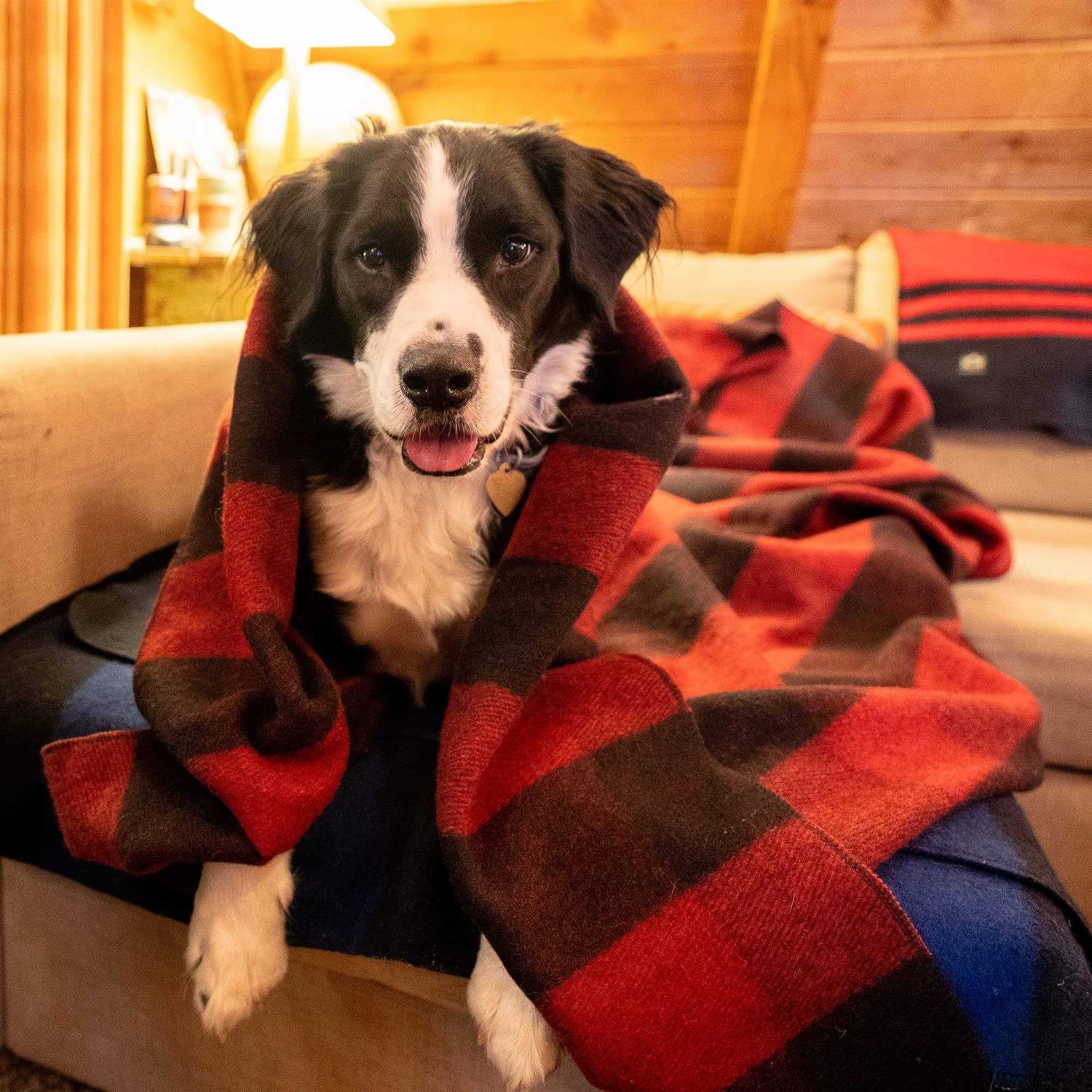 Arcturus Wool Blanket