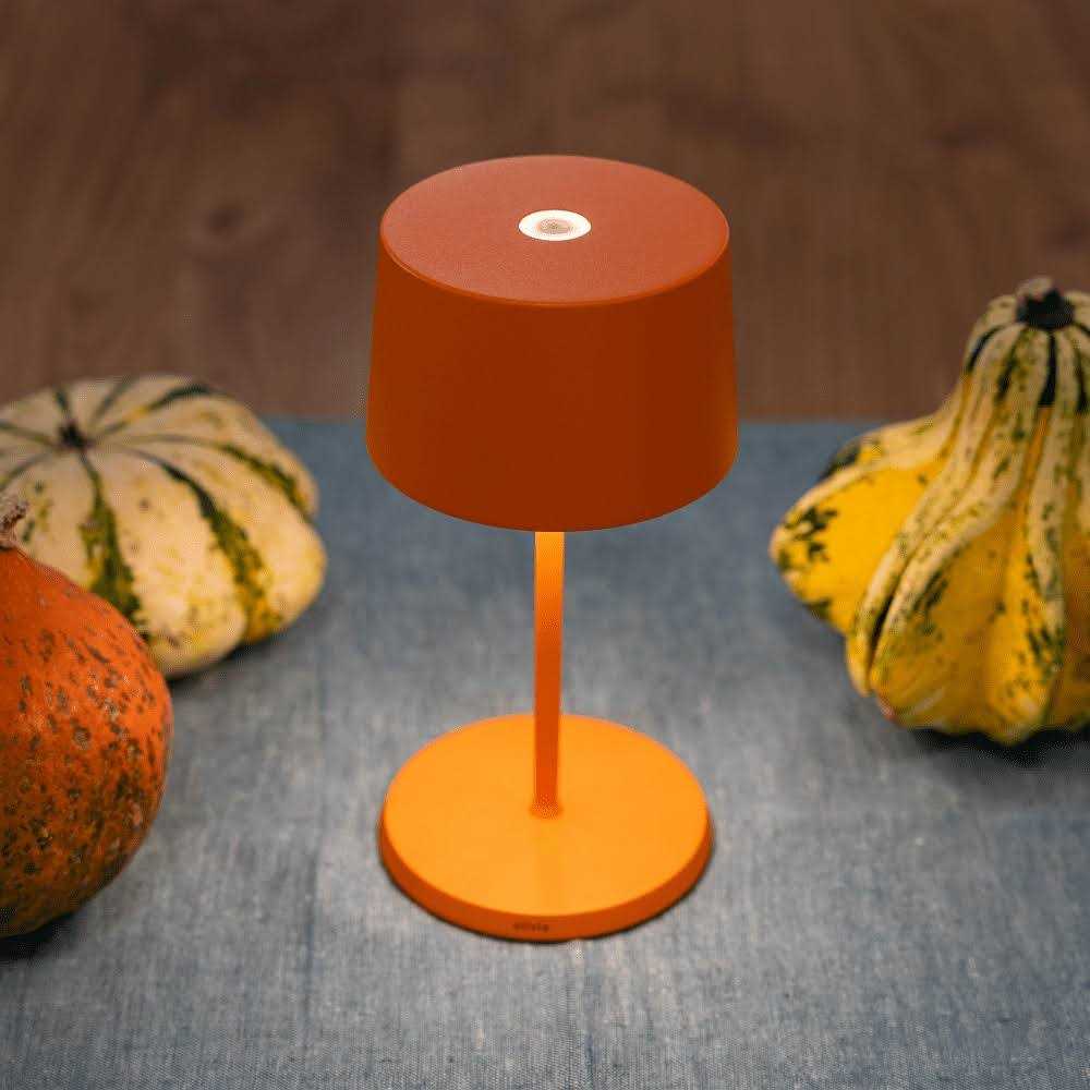 Zafferano Olivia pro Mini Rechargeable led table lamp