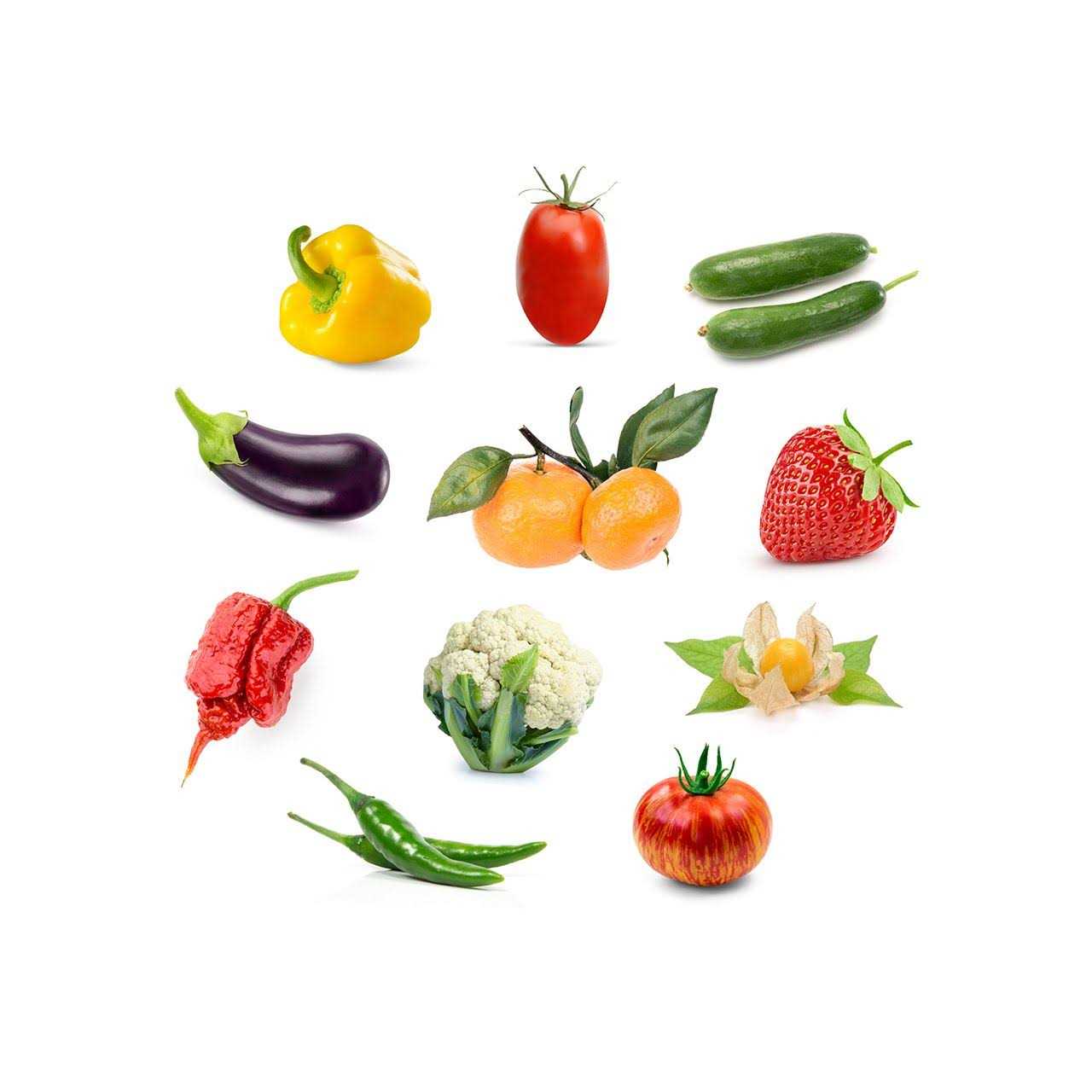 Click & Grow Grow any plant seedless smart soil plant pod