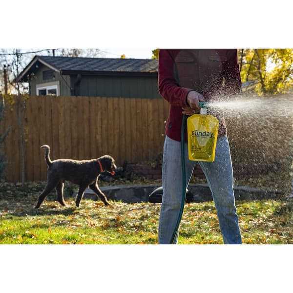 Sunday Lawn Kickstart Fertilizer Lawn