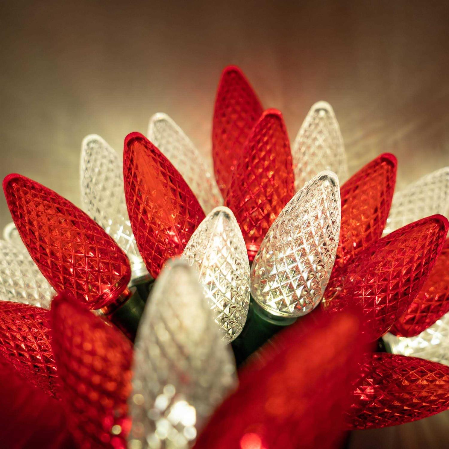 Wintergreen Lighting 24 C9 Red White LED Christmas Lights