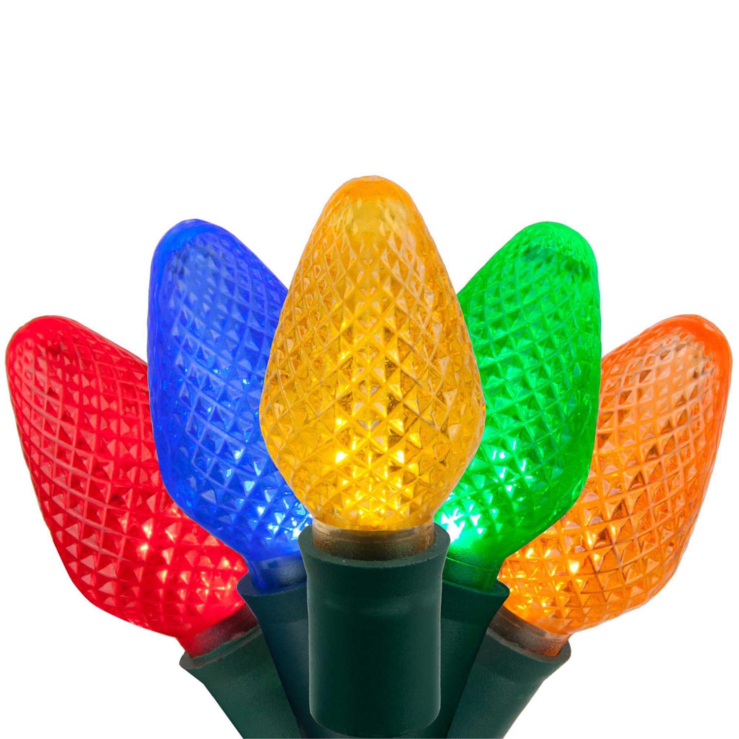 Wintergreen Lighting 25 LED Christmas Lights