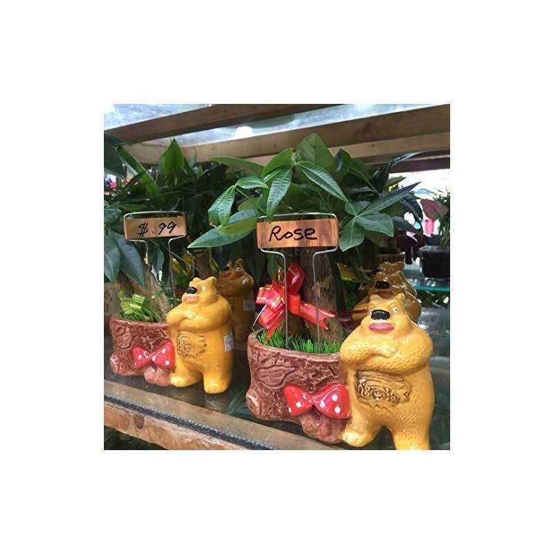 Ugold The Original 30 Per Pack Garden Plant