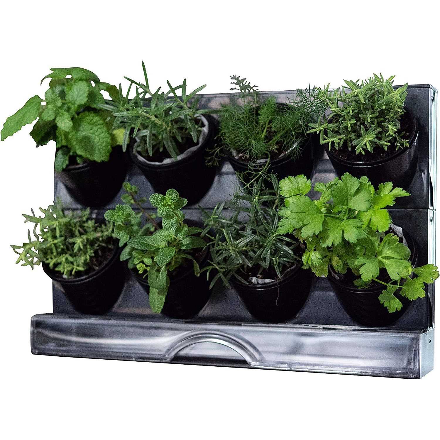Watex Countertop Garden Kit