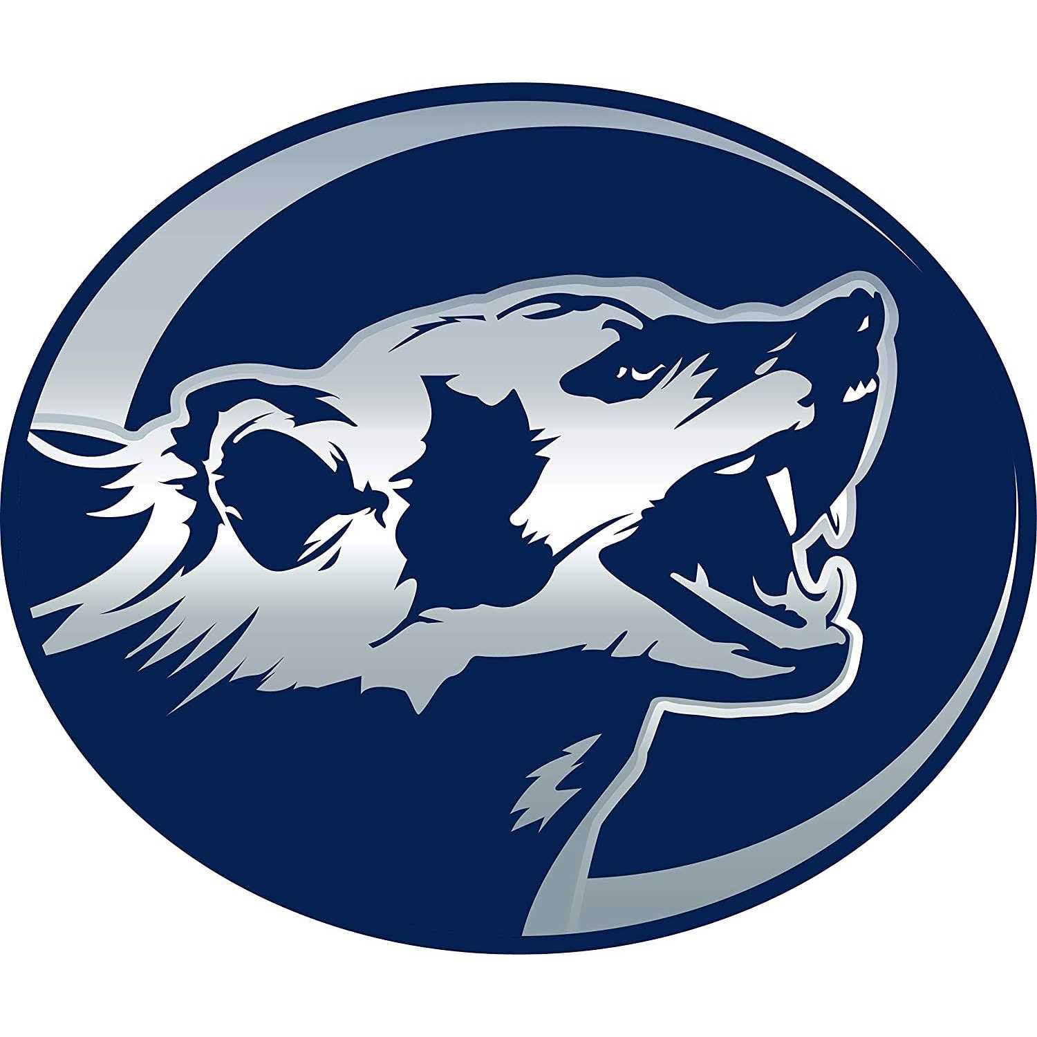 Wild Badger Power 52cc Gas 2 Cycle 2-in-1 Brush Cutter and String Trimmer