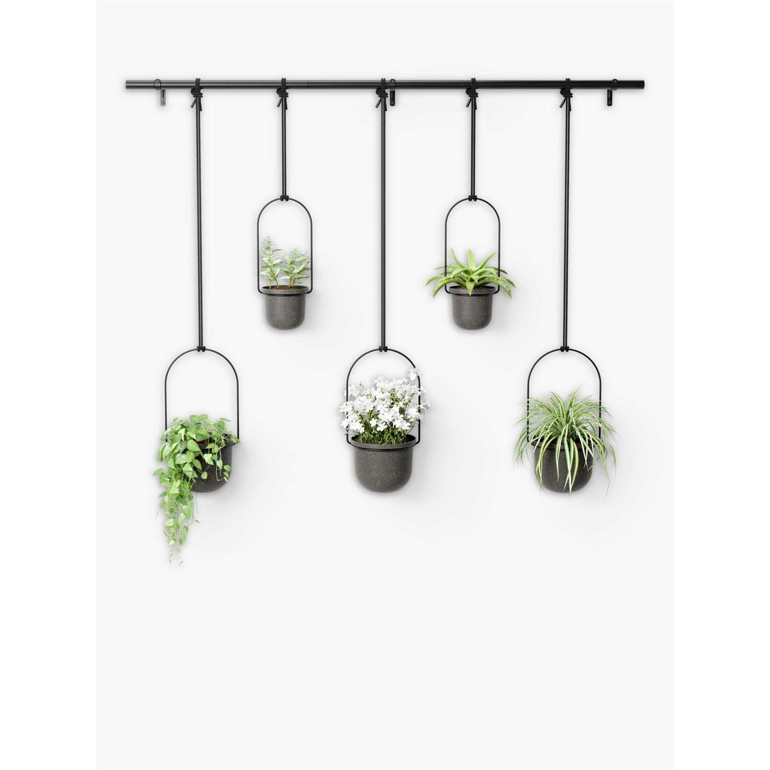 Umbra Triflora Hanging Planter