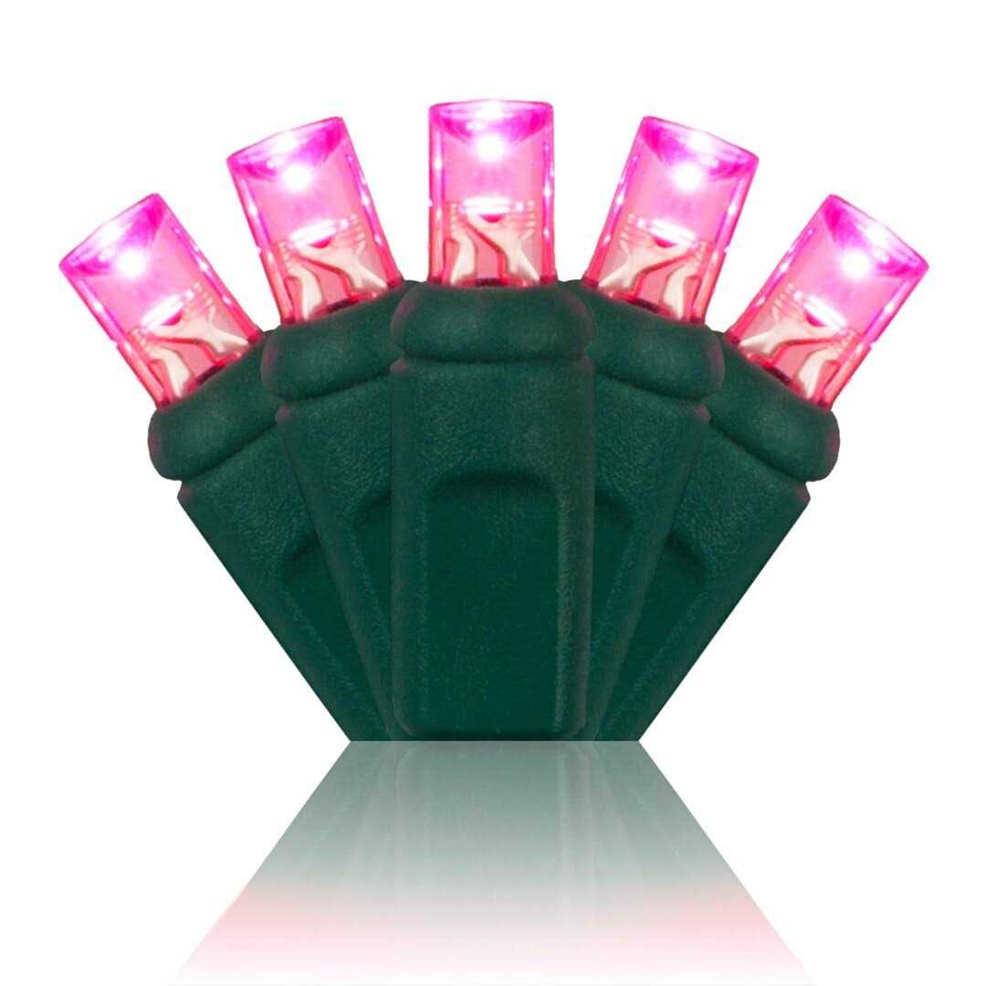 Wintergreen Lighting 70 Christmas LED Lights