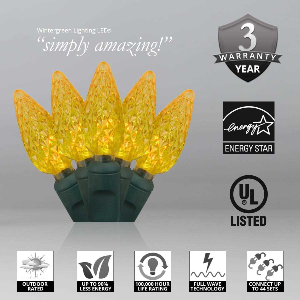 Wintergreen Lighting 25 LED Christmas Lights