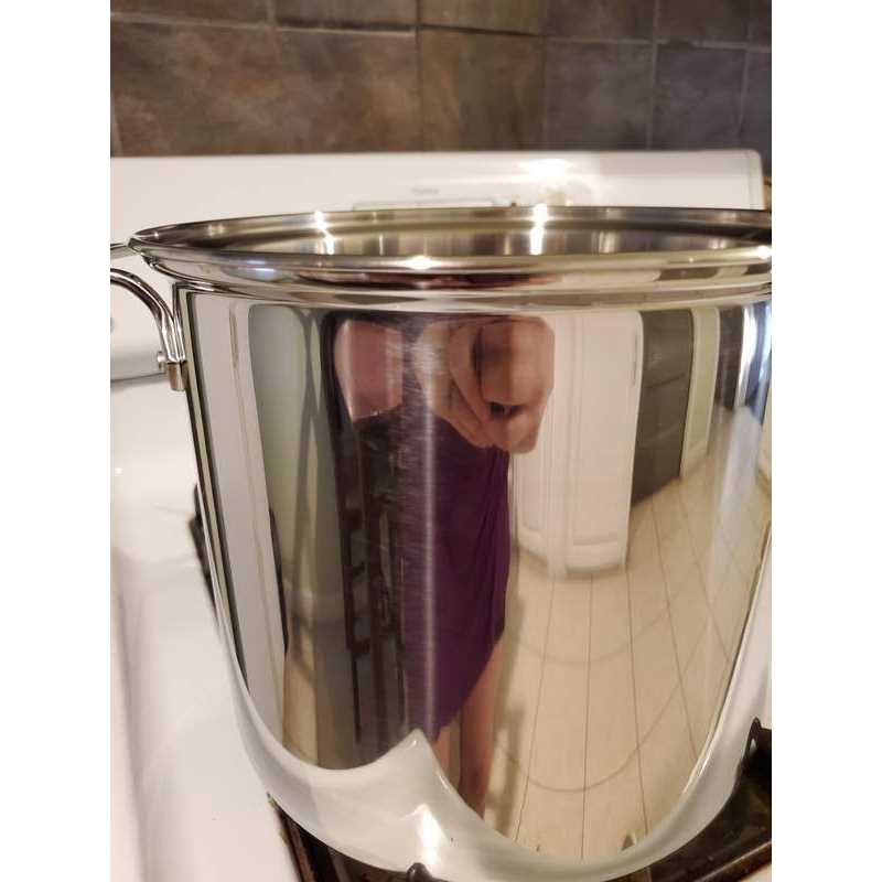 All-Clad 8-qt. Stainless Steel Multi-Cooker